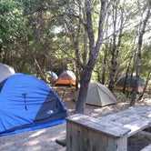 Review photo of Henry Cowell Redwoods State Park Campground by Queenie M., May 31, 2018
