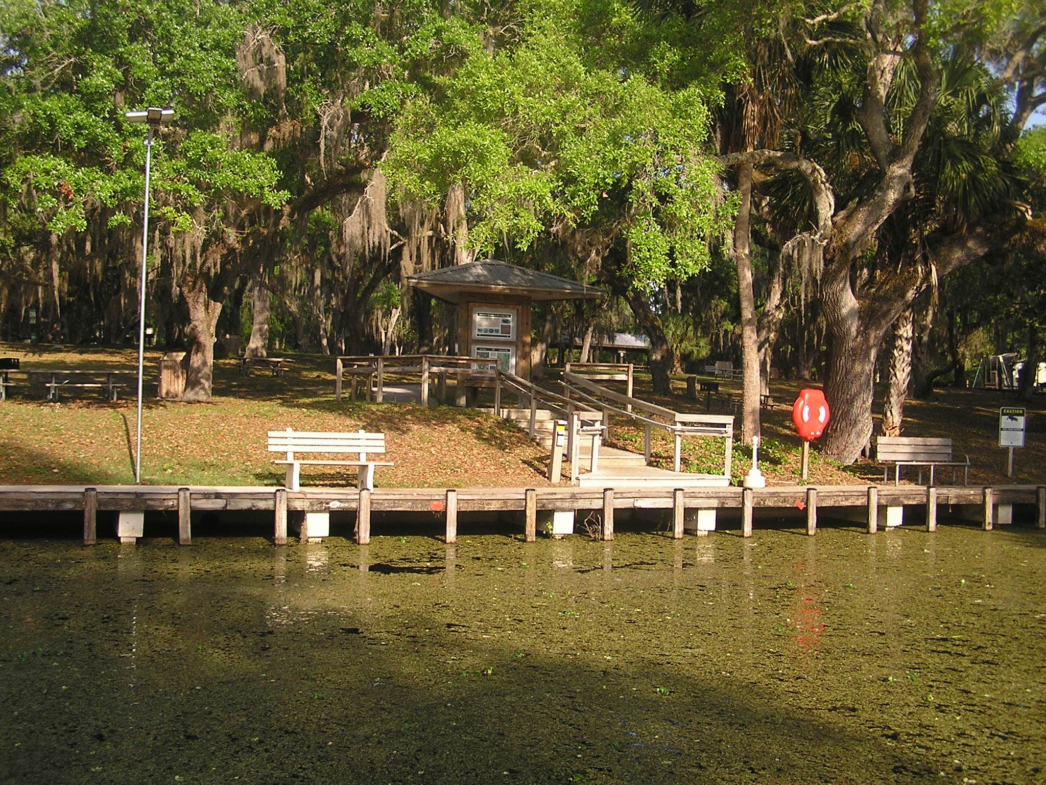 Lake Griffin State Park The Dyrt