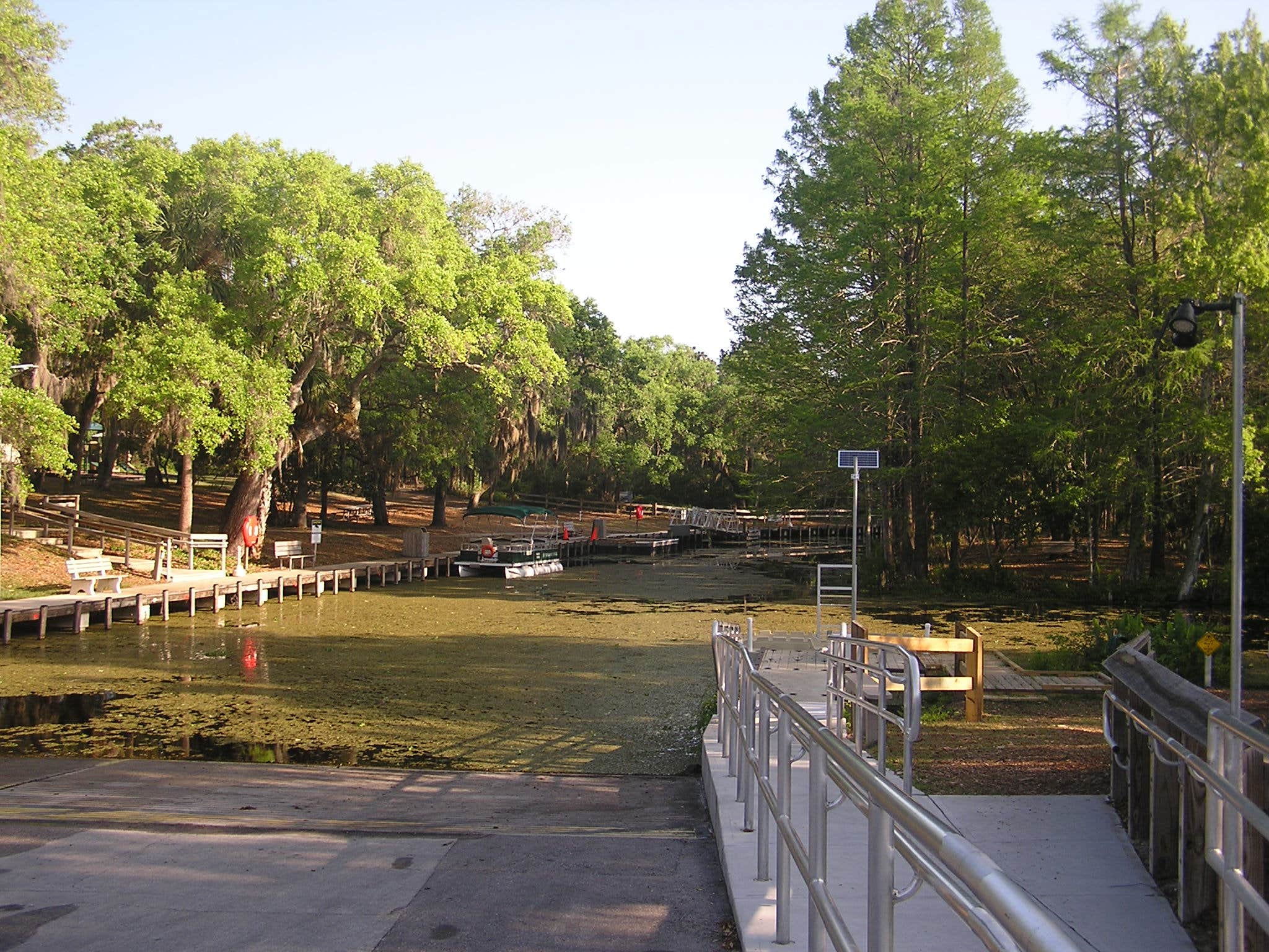Lake Griffin State Park The Dyrt