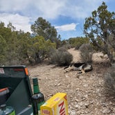 Review photo of Lovell Canyon Dispersed Camping (Spring Mountain) by Tyler S., April 17, 2021
