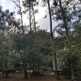Review photo of Disney’s Fort Wilderness Resort & Campground by Julie L., April 17, 2021