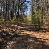 Review photo of Camp Cadiz Campground by Art S., April 17, 2021