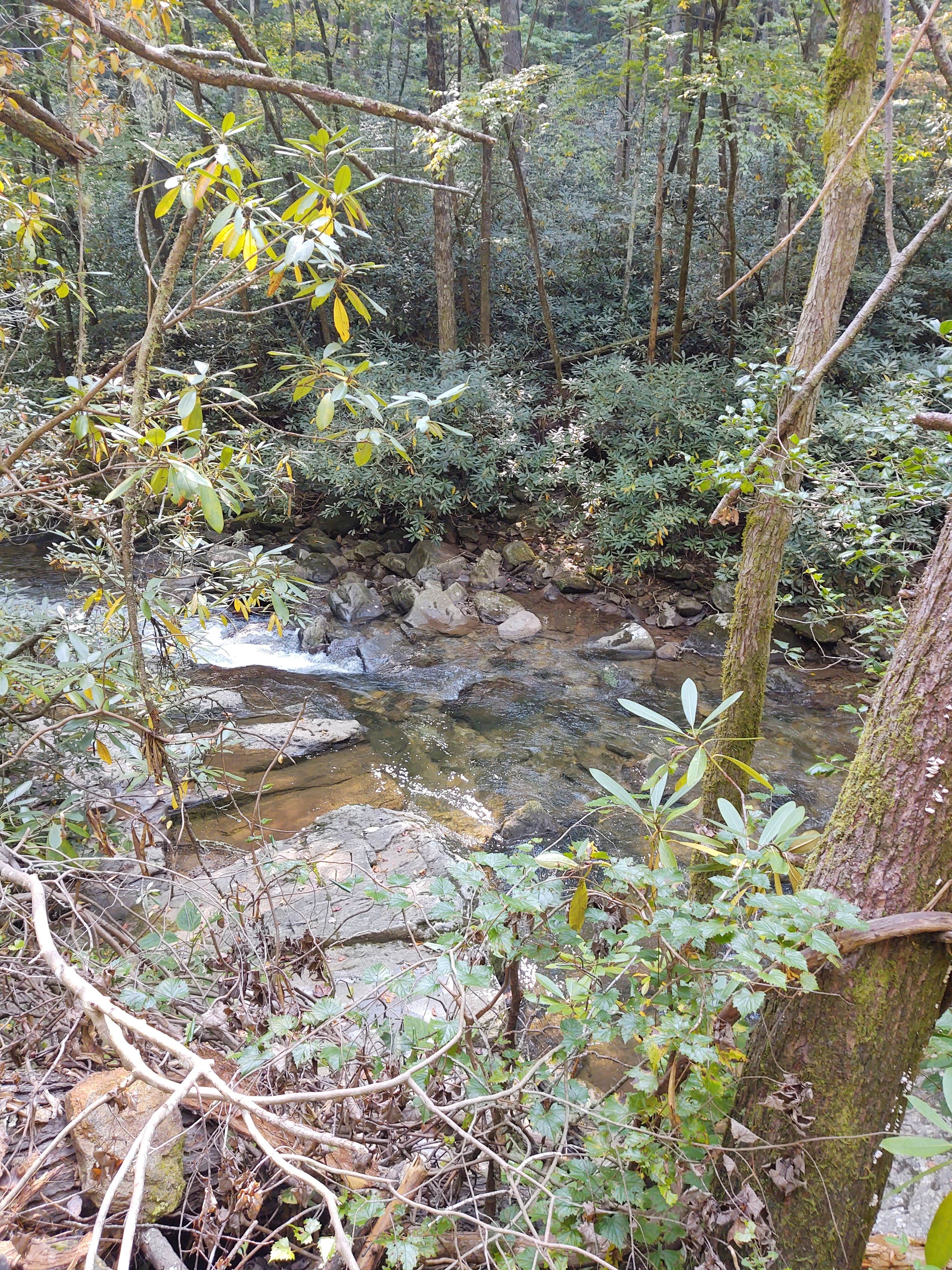 Camper-submitted photo at Upper Falls Campsite near Boiling Springs, NC