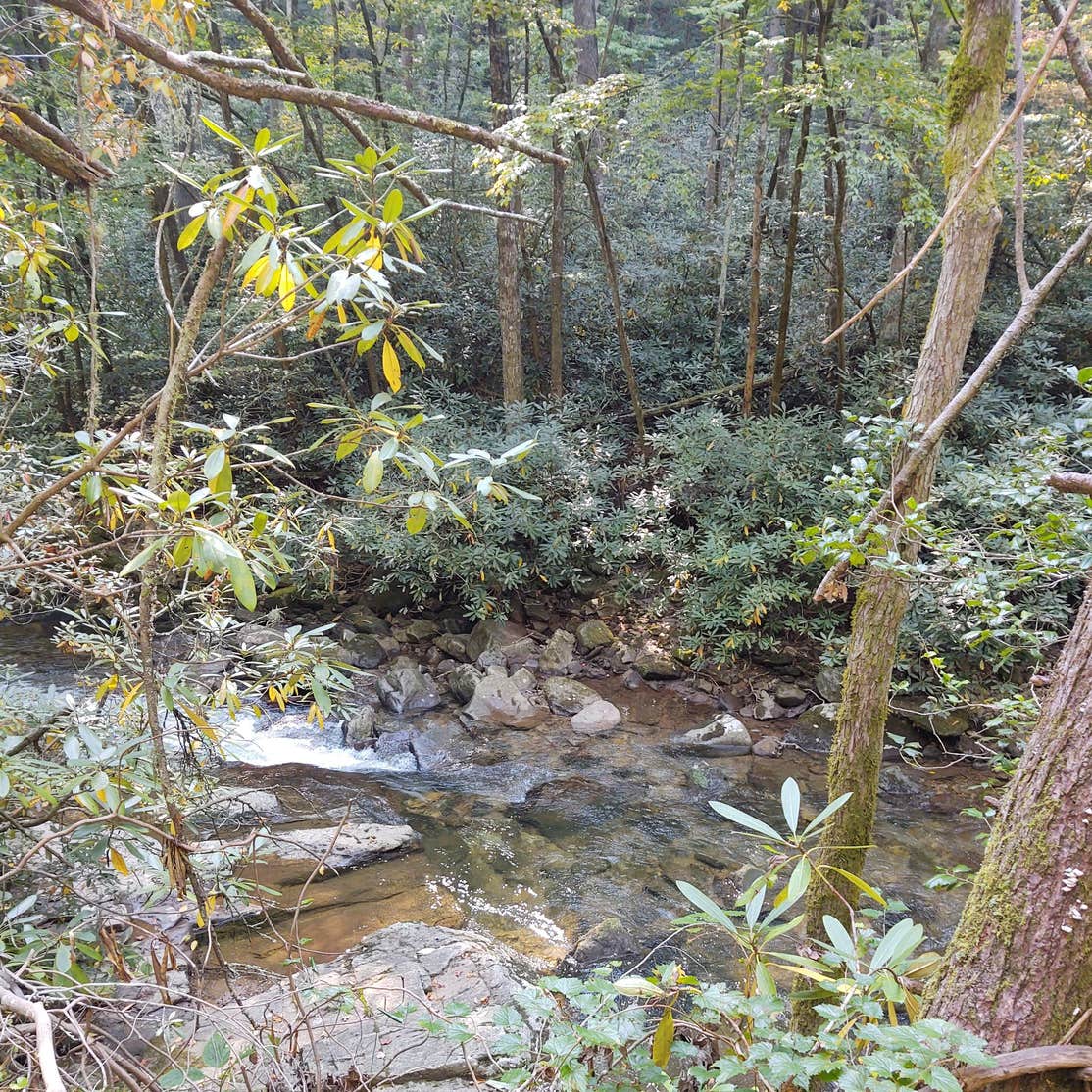 Upper Falls Campsite Casar, NC