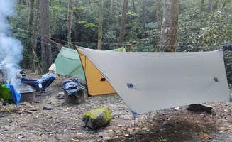 Julie L.'s photo at Upper Falls Campsite in North Carolina