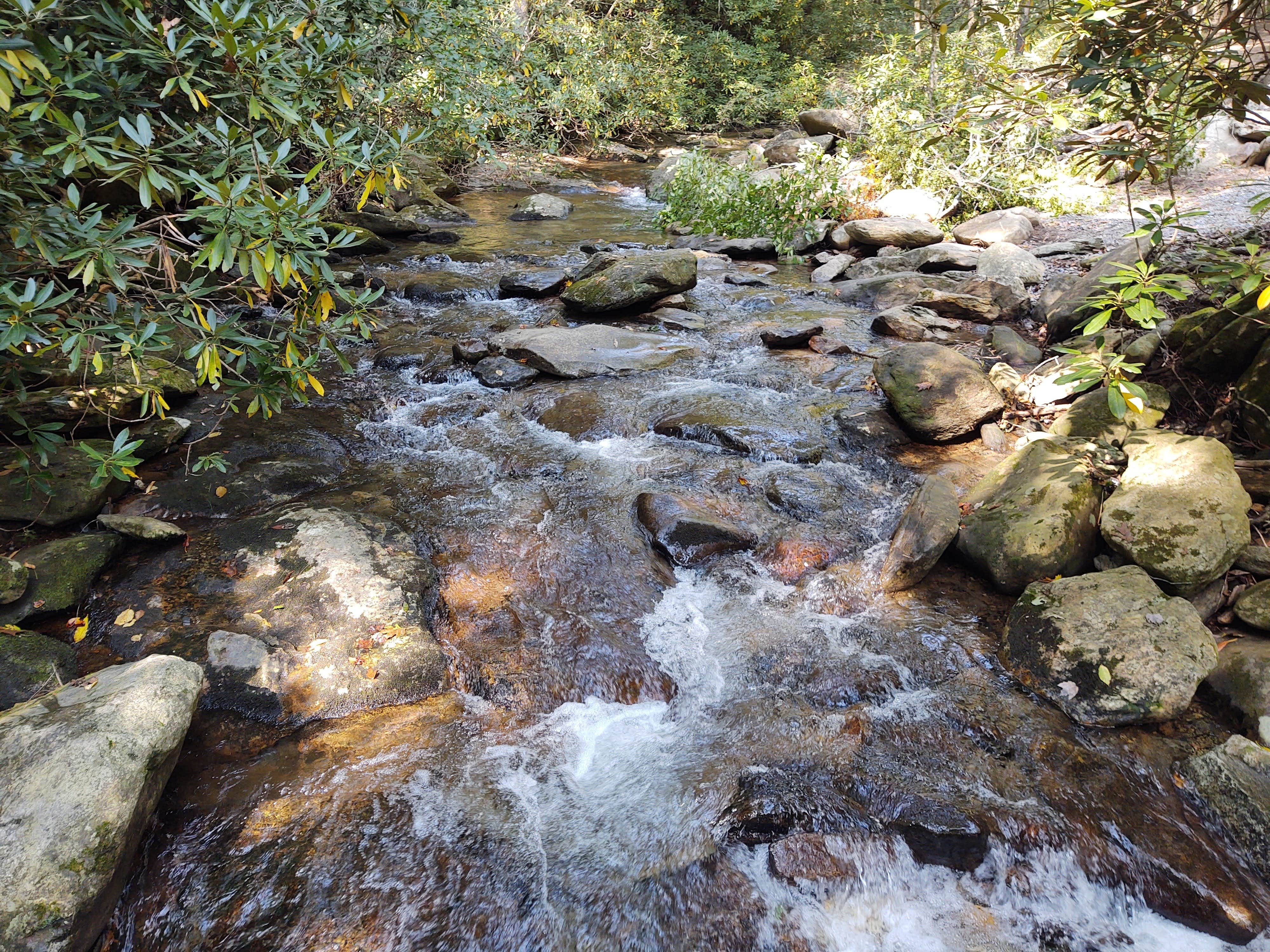 Camper-submitted photo at Upper Falls Campsite near Casar, NC