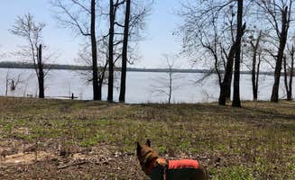 Art S.'s photo of camping with pets at Tower Rock Campground near Herod, IL