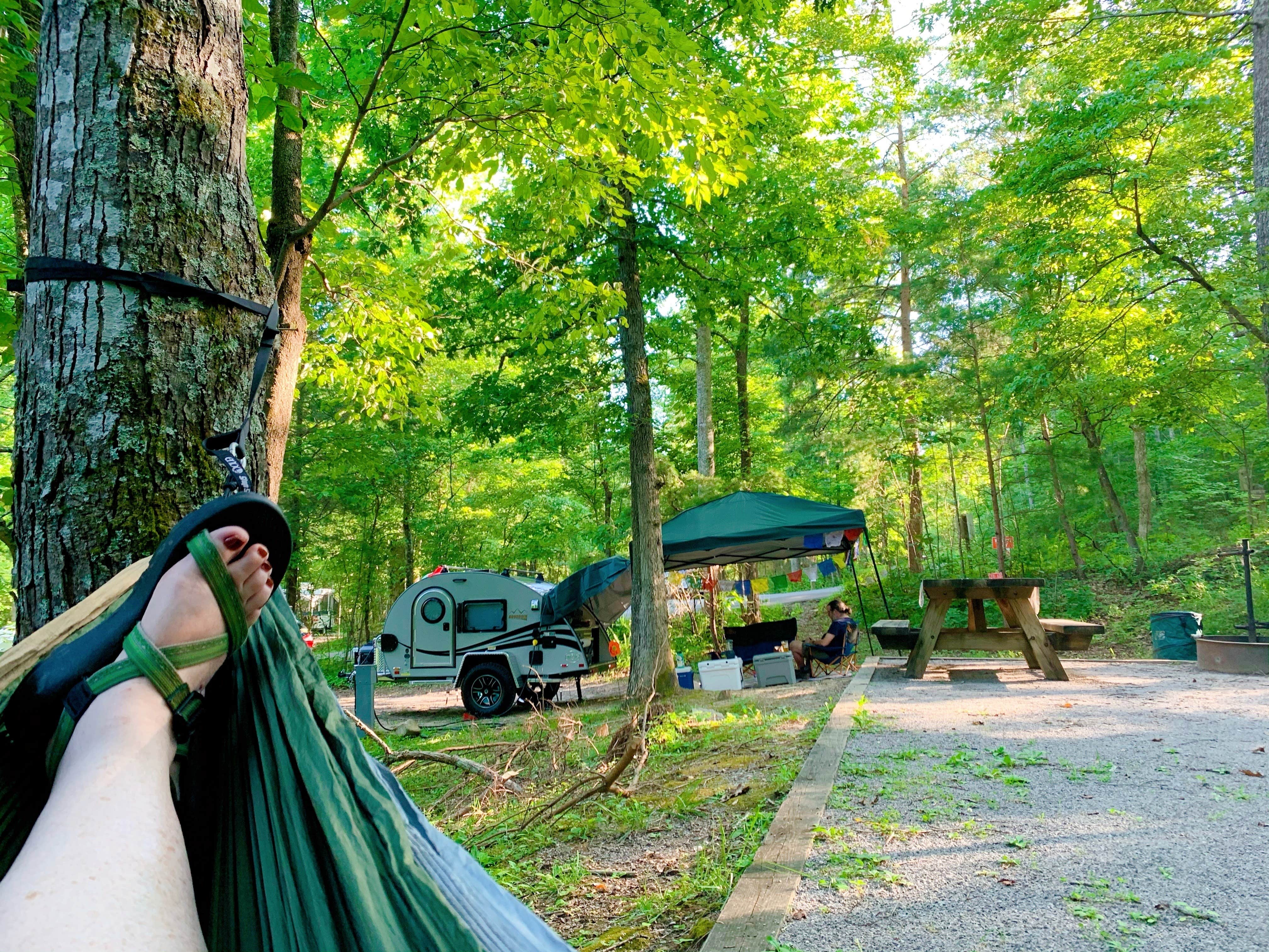 Chilhowee Campground The Dyrt