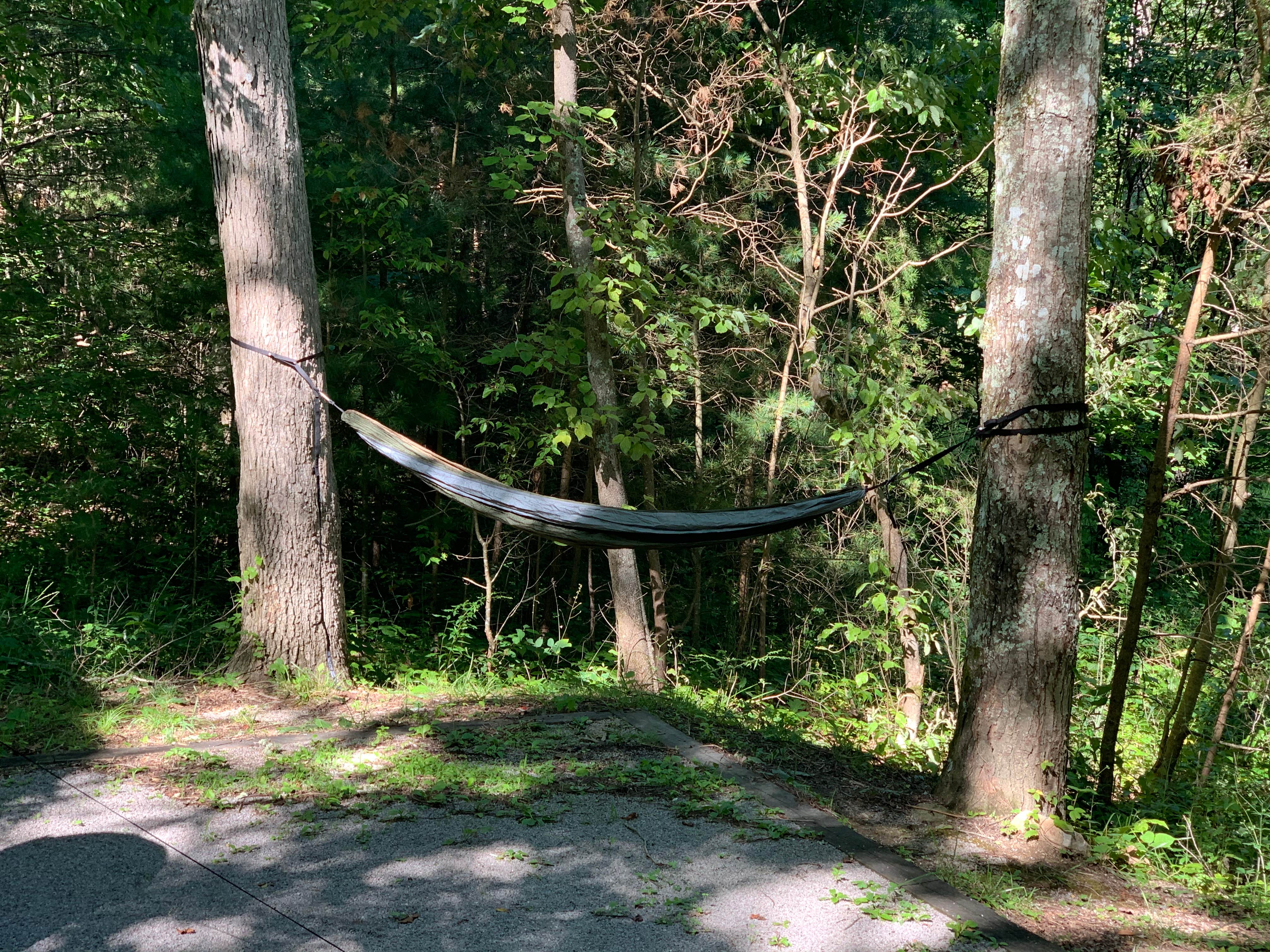 Chilhowee Campground The Dyrt