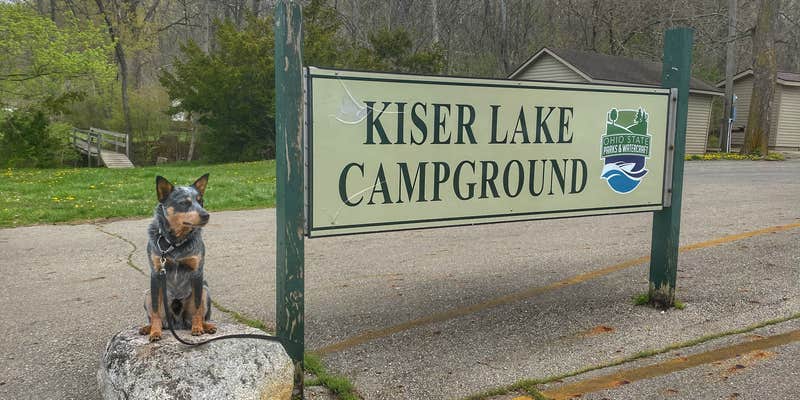 Camper submitted image from Kiser Lake State Park Campground