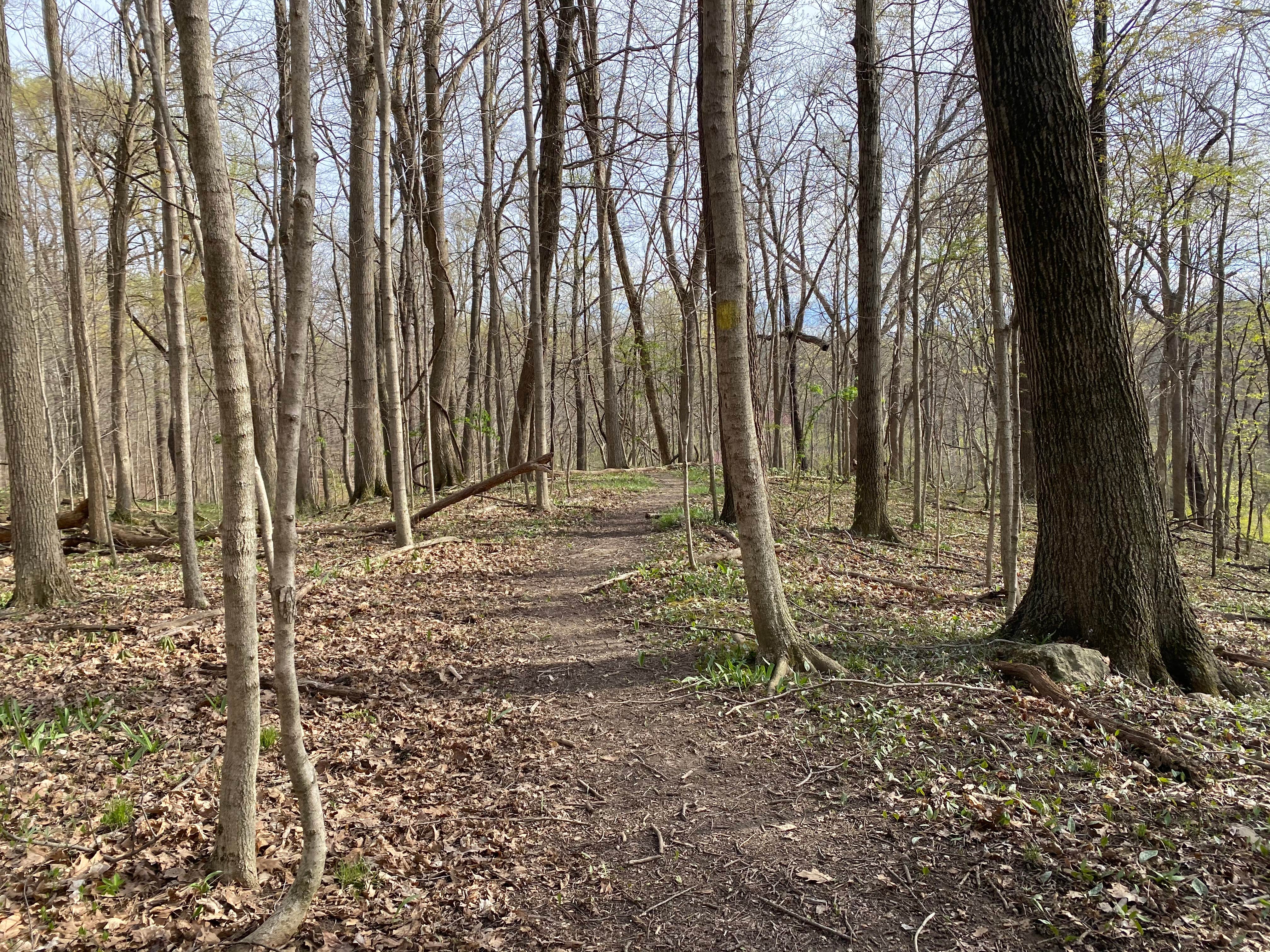 Camper submitted image from Kiser Lake State Park Campground - 3