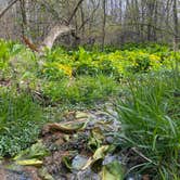 Review photo of Kiser Lake State Park Campground by Andrea F., April 17, 2021