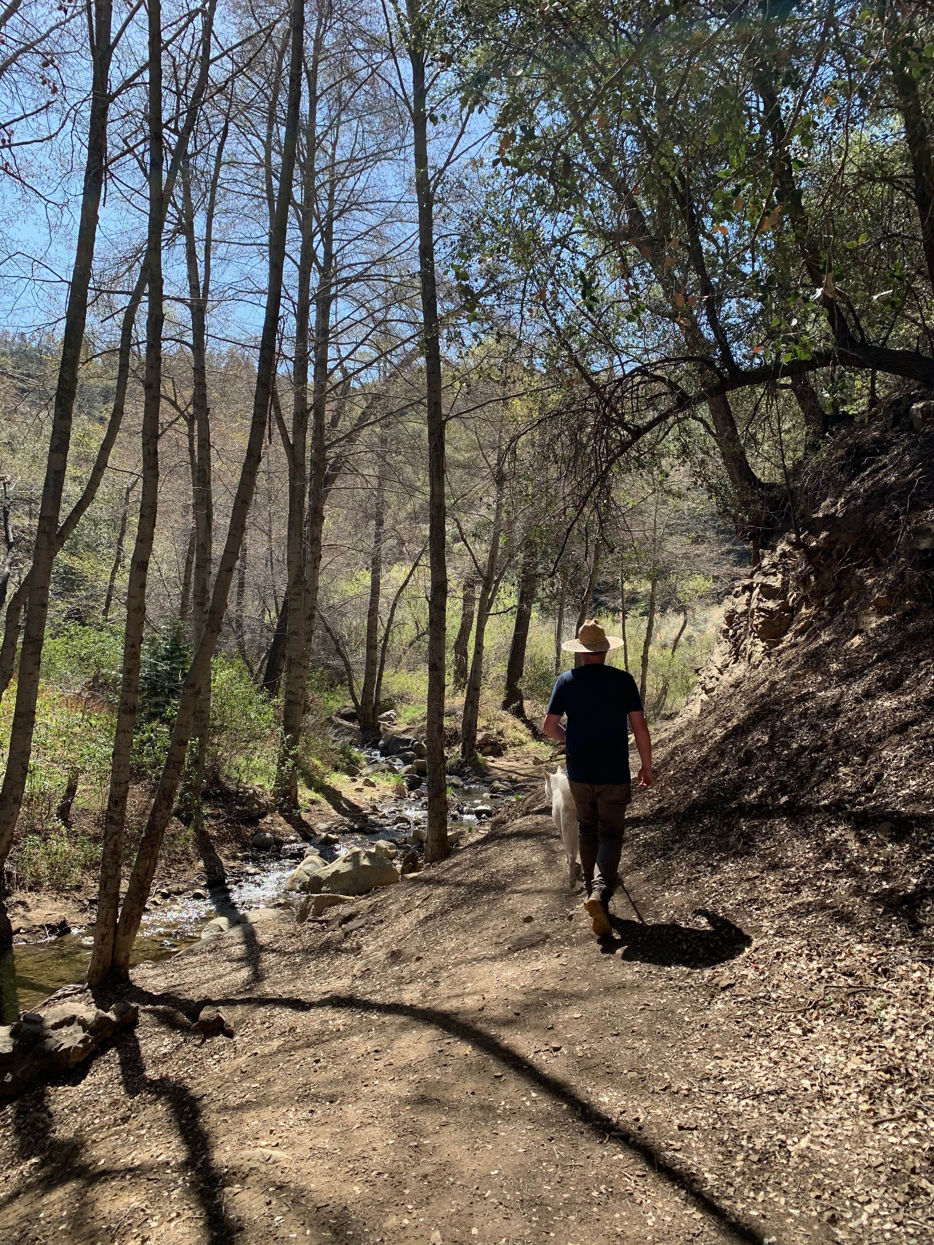 Camper-submitted photo at Reyes Creek Campground near Ojai, CA