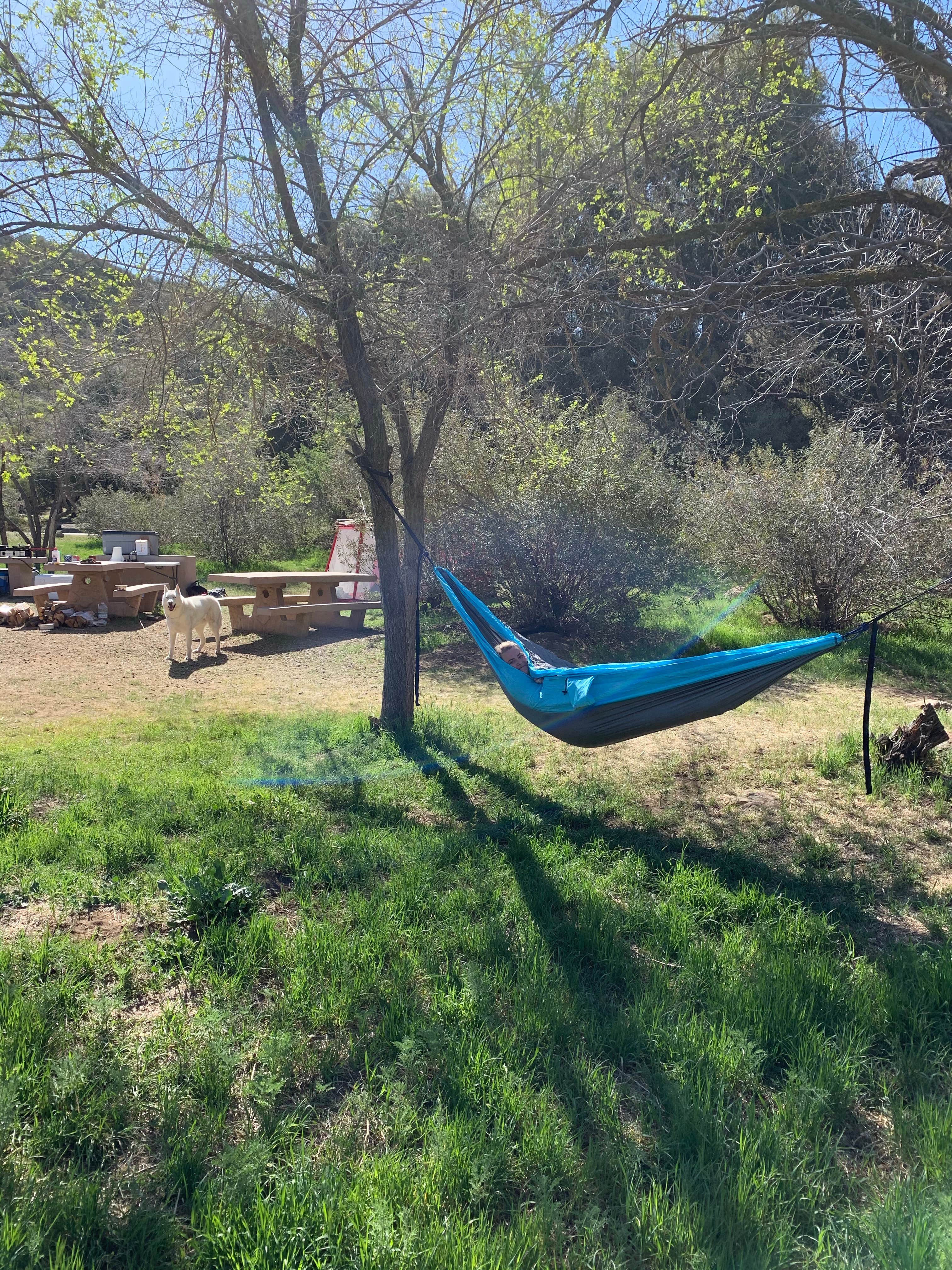 Camper submitted image from Reyes Creek Campground - 4