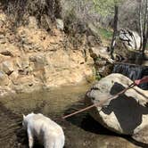 Review photo of Reyes Creek Campground by Chelsea B., April 18, 2021