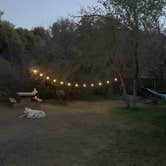 Review photo of Reyes Creek Campground by Chelsea B., April 18, 2021