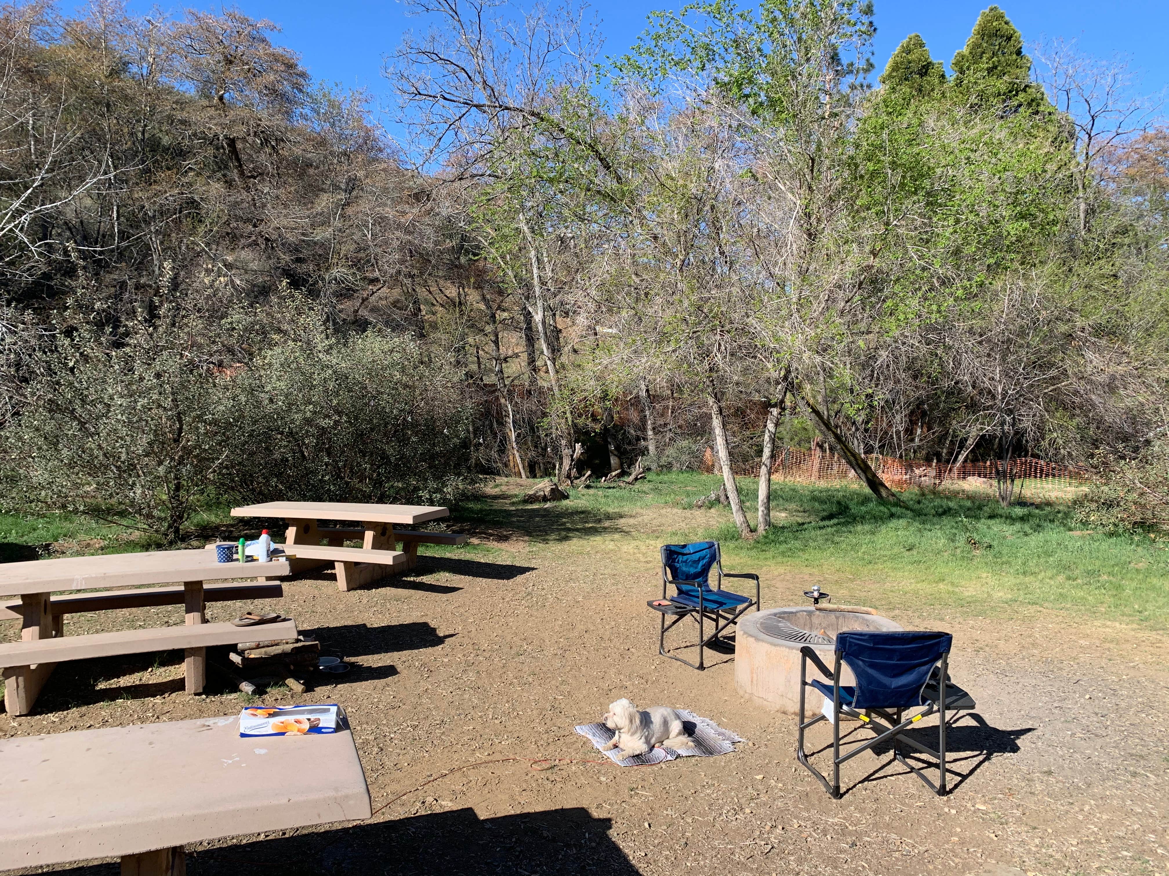 Reyes Peak Campground The Dyrt