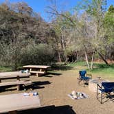 Review photo of Reyes Creek Campground by Chelsea B., April 18, 2021