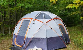 Camping near Stony Brook State Park Campground: Tumble Hill Campground, Avoca, New York