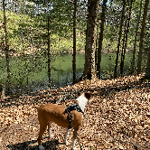 Review photo of Hanging Rock Recreation Site by Rob G., April 18, 2021