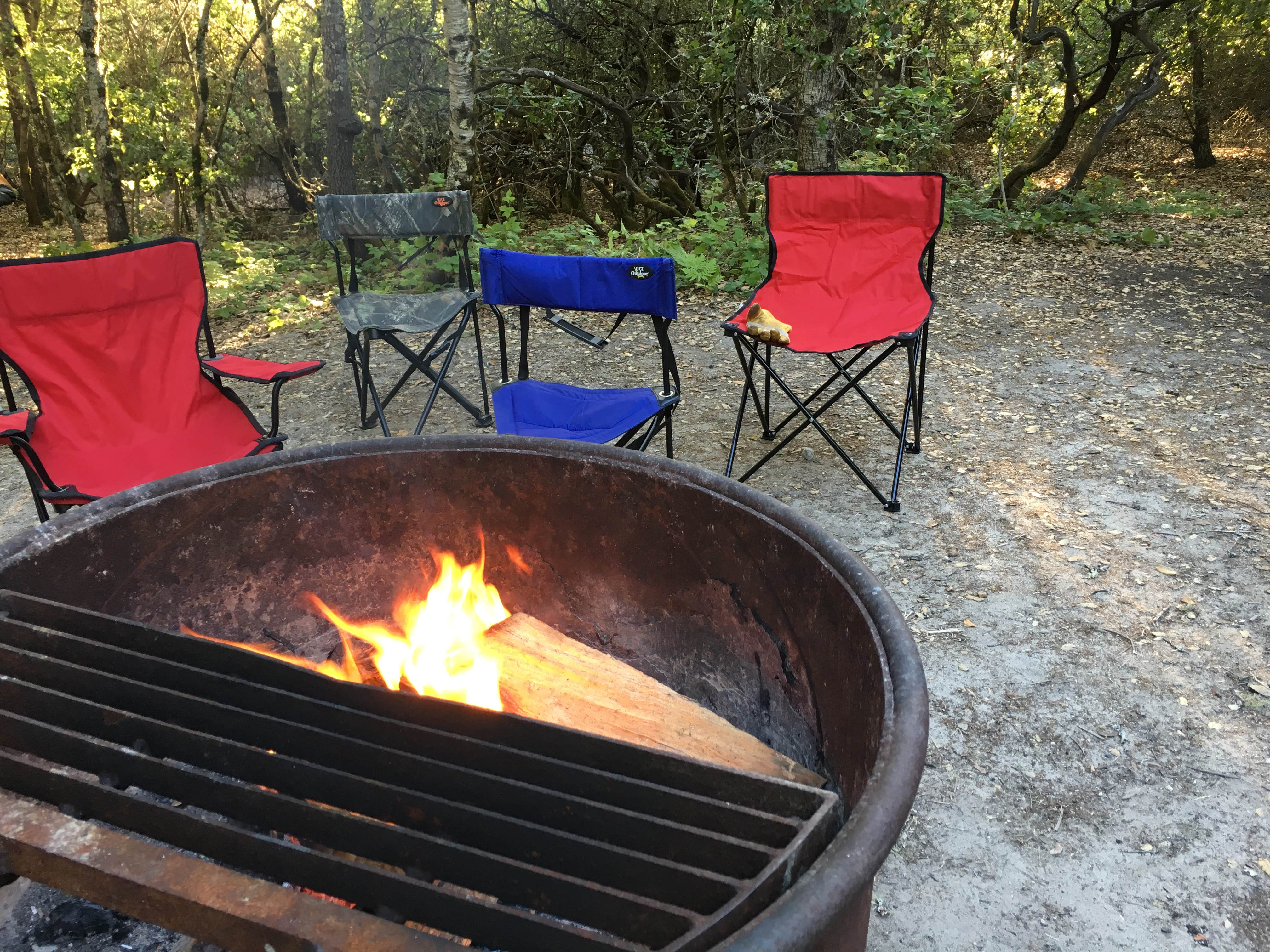 Queenie M.'s photo at Henry Cowell Redwoods State Park Campground near Los Gatos, CA