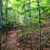 Review photo of North Manitou Island Backcountry Campsites by Steve D., April 18, 2021