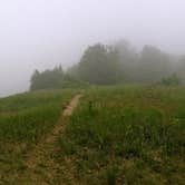 Review photo of North Manitou Island Backcountry Campsites by Steve D., April 18, 2021