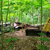 Review photo of North Manitou Island Backcountry Campsites by Steve D., April 18, 2021