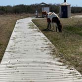 Review photo of Assateague Island National Seashore Oceanside Campground by Amanda D., April 18, 2021