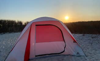 Amanda D.'s photo at Assateague Island National Seashore Oceanside Campground near Ocean City, MD