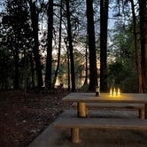 Review photo of Martin Dies, Jr. State Park Campground by Rebecca , April 18, 2021