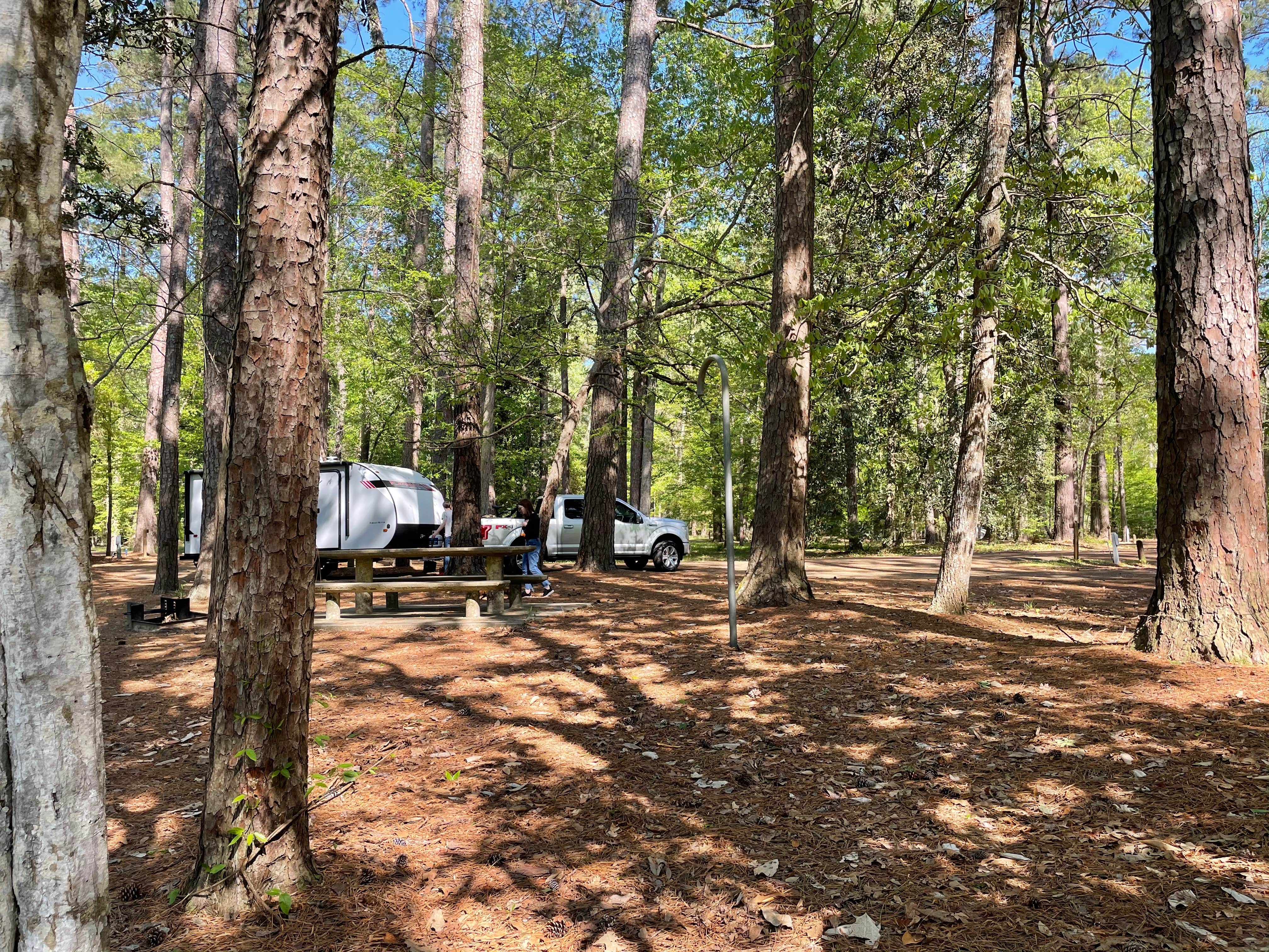 Rebecca's photo at Martin Dies, Jr. State Park Campground near Woodville, TX