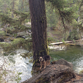 Review photo of Rock Creek Campground by Kayko S., May 7, 2015