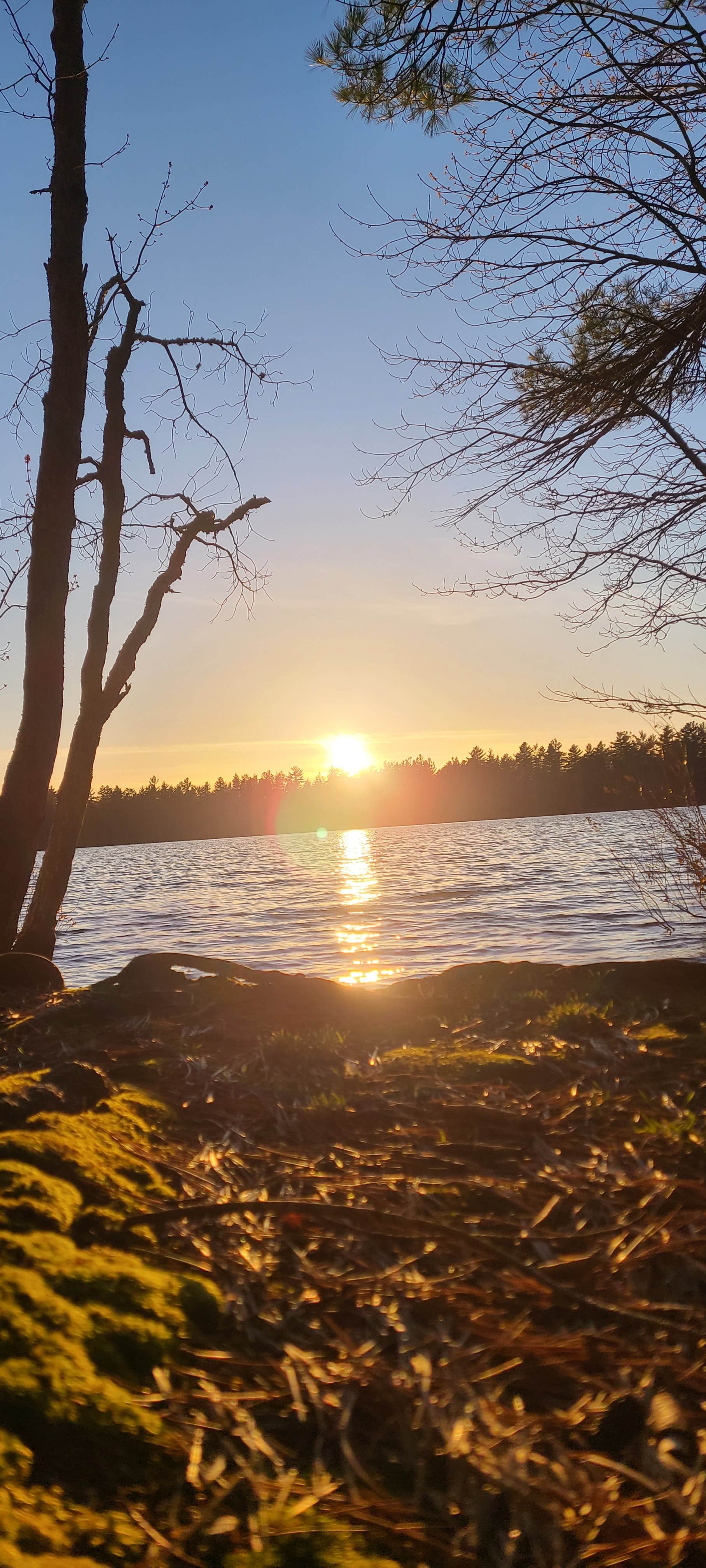 Camper submitted image from Pretty Lake State Forest Campground - 2