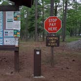 Review photo of Brick House Campground (Sc) — Francis Marion And Sumter National Forests by Rick , April 18, 2021