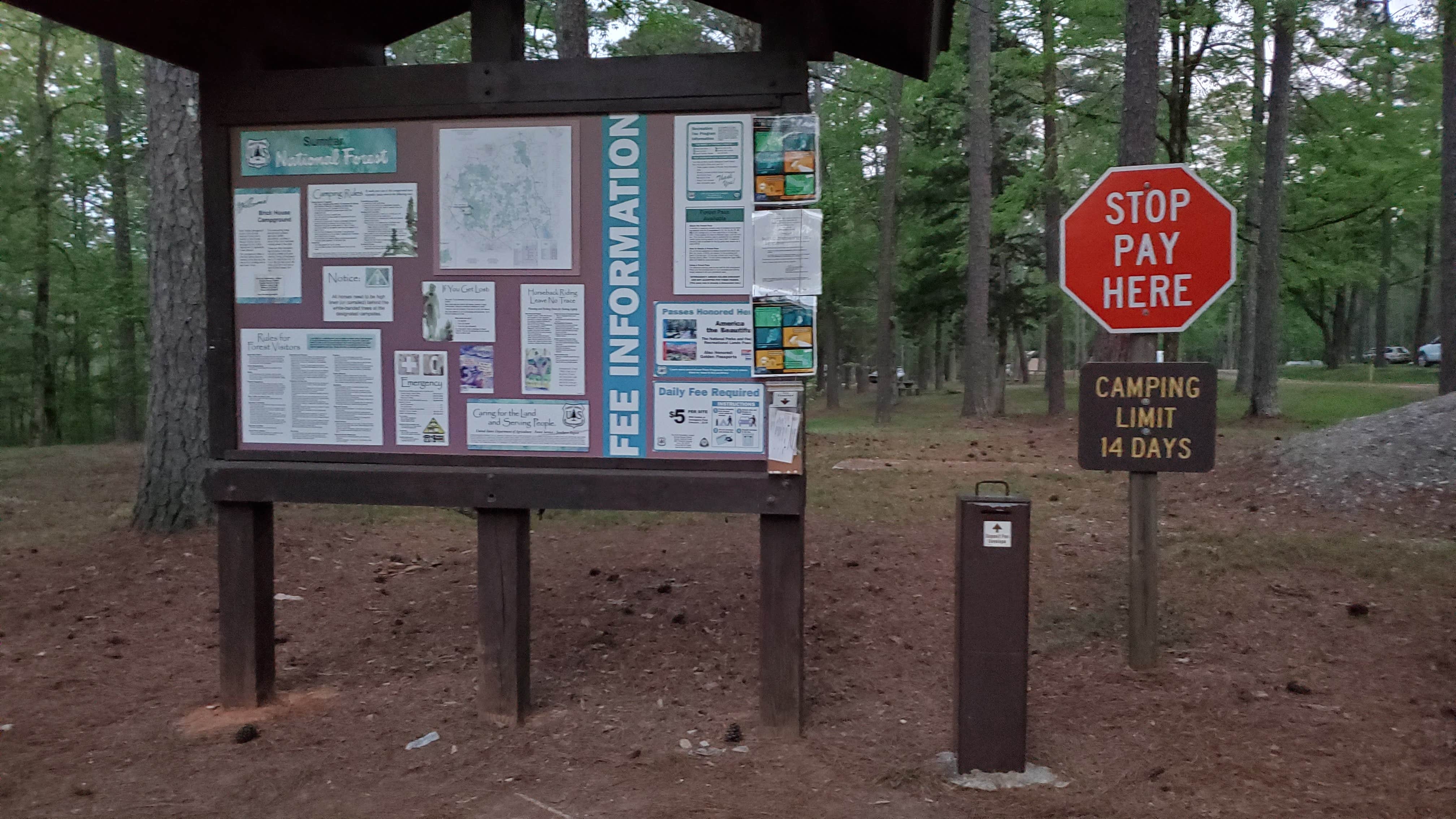 Camper submitted image from Brick House Campground (Sc) — Francis Marion And Sumter National Forests - 5