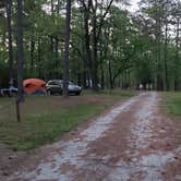 Review photo of Brick House Campground (Sc) — Francis Marion And Sumter National Forests by Rick , April 18, 2021