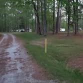 Review photo of Brick House Campground (Sc) — Francis Marion And Sumter National Forests by Rick , April 18, 2021