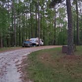 Review photo of Brick House Campground (Sc) — Francis Marion And Sumter National Forests by Rick , April 18, 2021