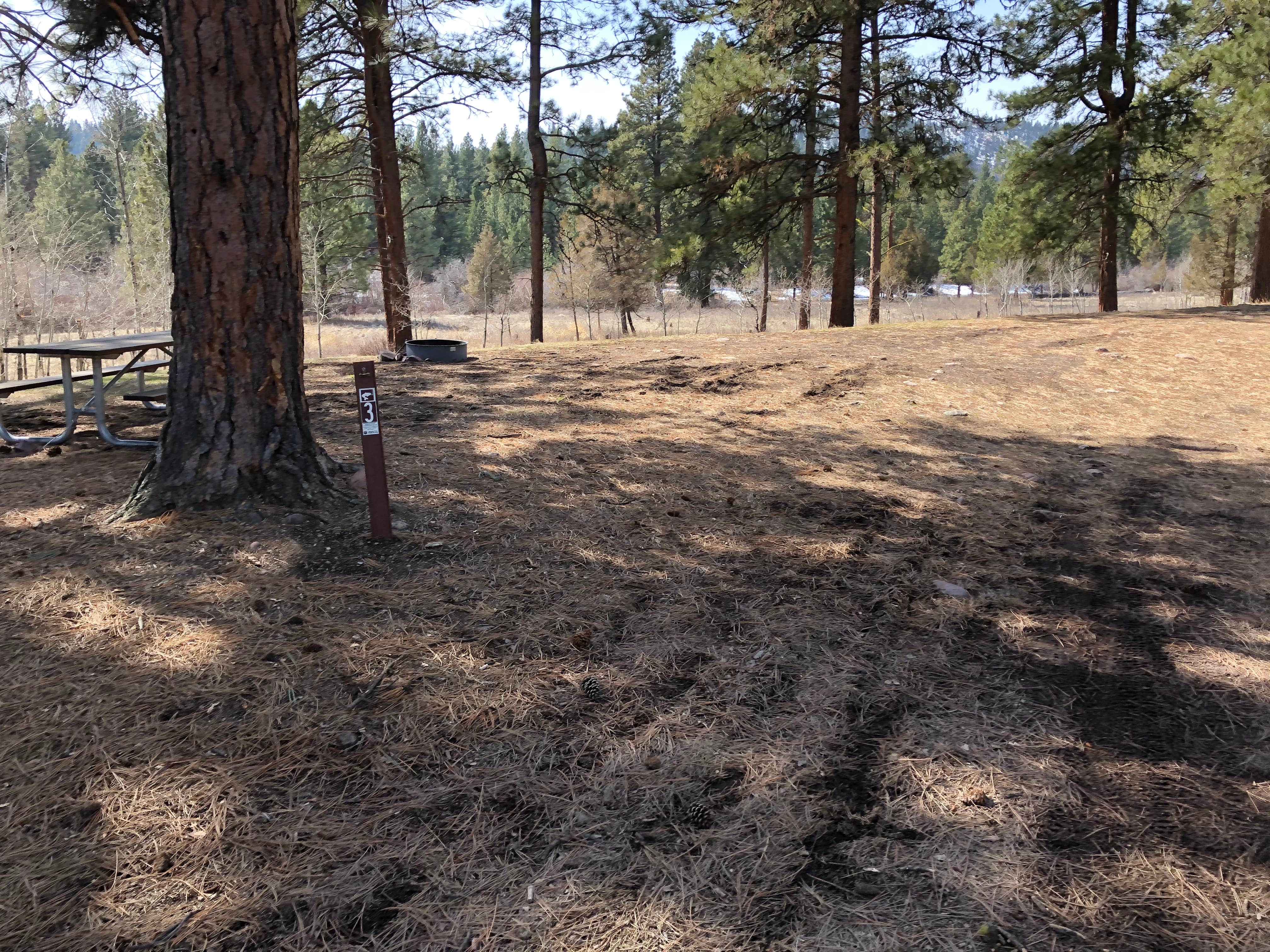 Camping near Russell Gates Memorial: Harpers Lake, Seeley Lake, Montana