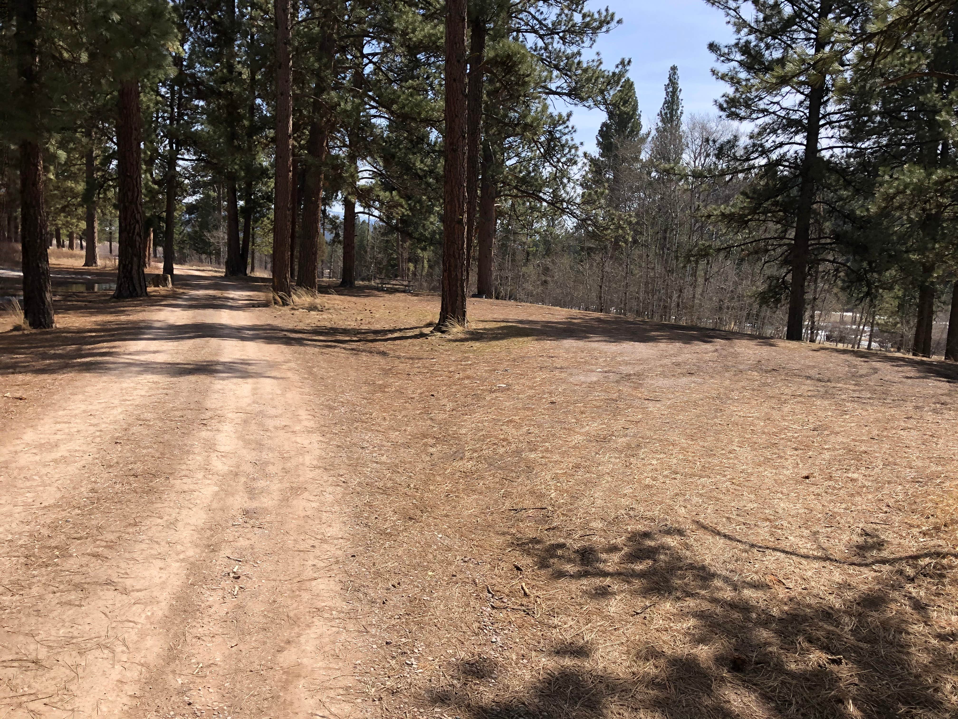 Camper-submitted photo at Harpers Lake near Ovando, MT