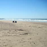 Review photo of Beverly Beach State Park Campground by Robert D., April 18, 2021