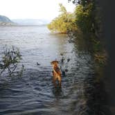 Review photo of Viento State Park Campground by Brittney J., May 31, 2018