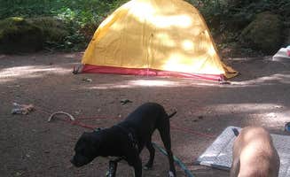 Brittney J.'s photo at Viento State Park Campground near Underwood, WA
