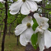 Review photo of Brady Mountain - Lake Ouachita by Donna H., April 15, 2021