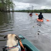 Review photo of Caddo Lake State Park Campground by Becky B., April 18, 2021