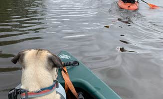Becky B.'s photo of camping with pets at Caddo Lake State Park Campground near Queen City, TX