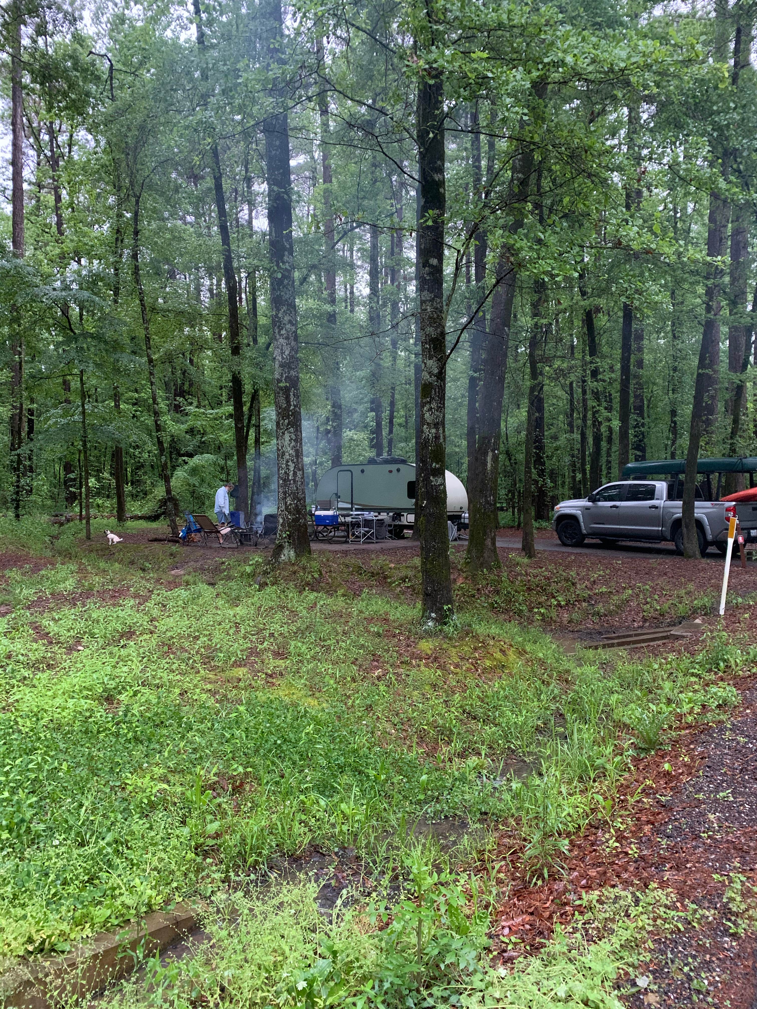 Becky B.'s photo at Caddo Lake State Park Campground near Benton, LA