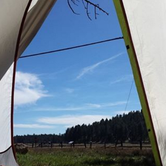 Review photo of El Prado Campground by Ryan W., July 14, 2016