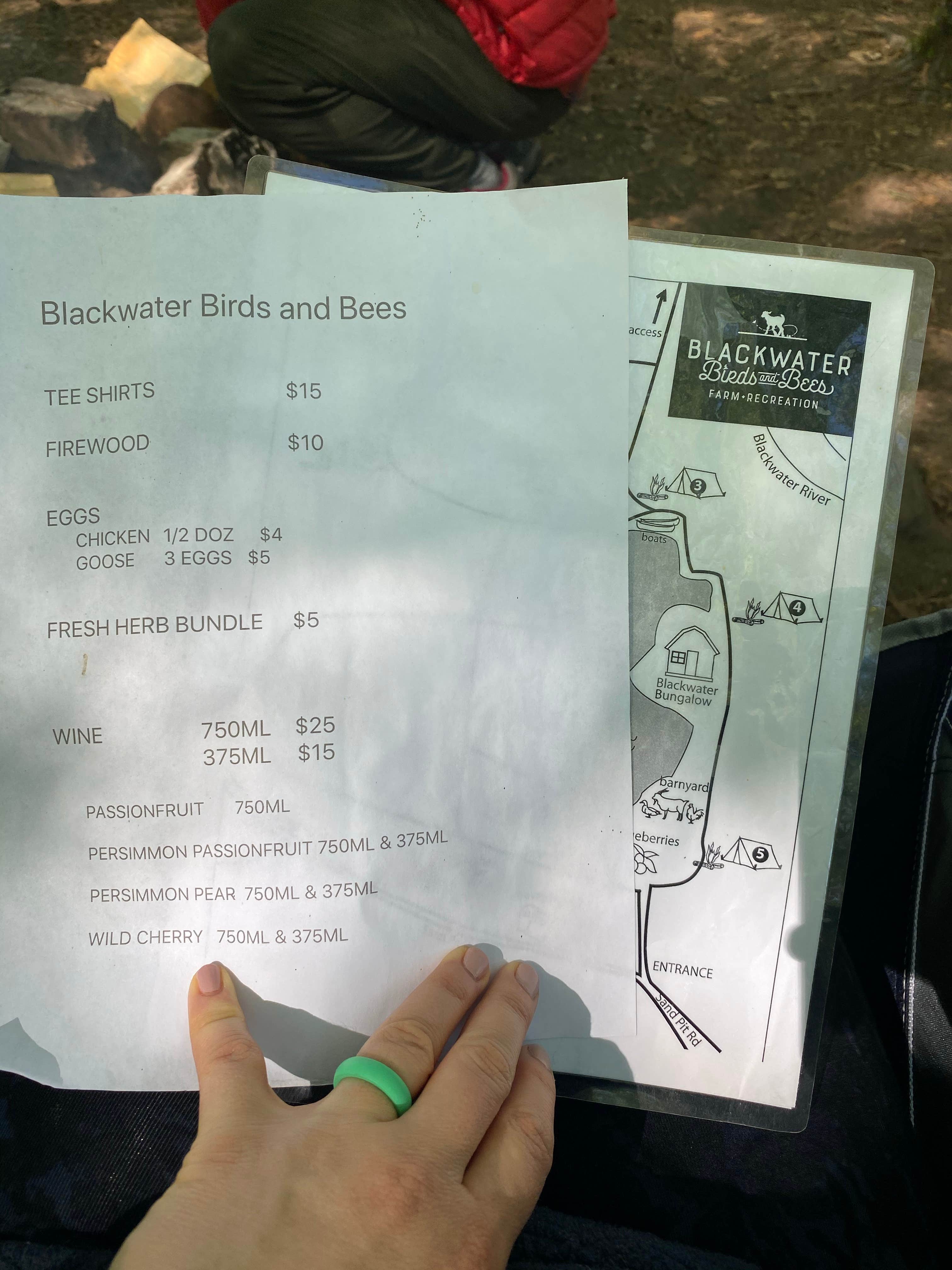Camper submitted image from Blackwater Birds and Bees - 4